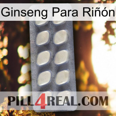 Ginseng Para Riñón 08